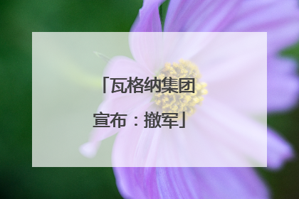 瓦格纳集团宣布：撤军