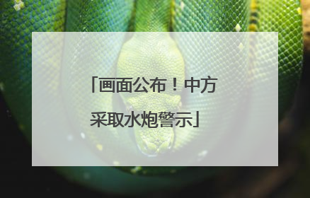 画面公布！中方采取水炮警示