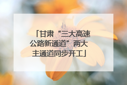 甘肃“三大高速公路新通道”两大主通道同步开工