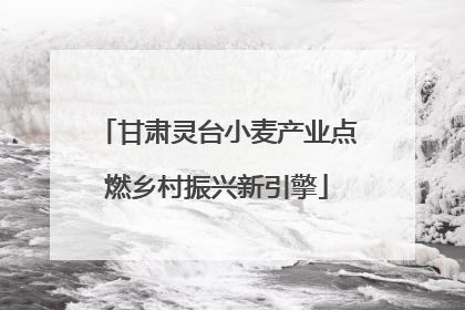 甘肃灵台小麦产业点燃乡村振兴新引擎
