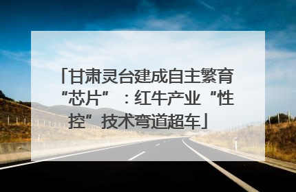 甘肃灵台建成自主繁育“芯片”：红牛产业“性控”技术弯道超车