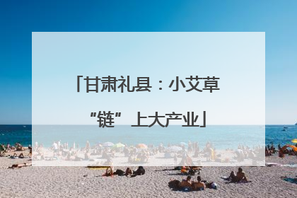 甘肃礼县：小艾草“链”上大产业