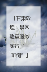 甘肃敦煌：景区骆运服务实行“三班倒”
