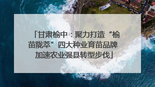 甘肃榆中：聚力打造“榆苗陇萃”四大种业育苗品牌 加速农业强县转型步伐