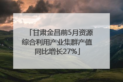甘肃金昌前5月资源综合利用产业集群产值同比增长27%