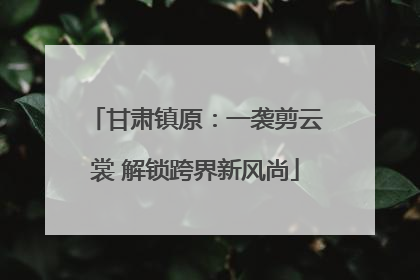 甘肃镇原：一袭剪云裳 解锁跨界新风尚