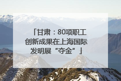甘肃：80项职工创新成果在上海国际发明展“夺金”