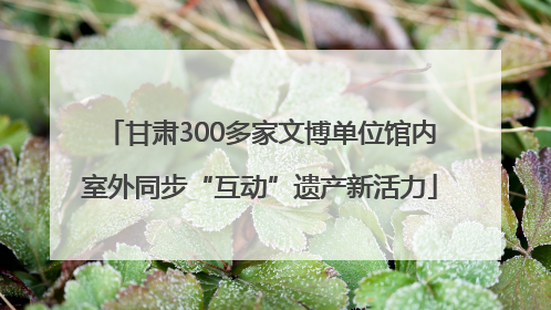 甘肃300多家文博单位馆内室外同步“互动”遗产新活力