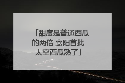 甜度是普通西瓜的两倍 襄阳首批太空西瓜熟了