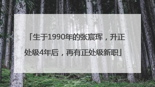 生于1990年的张宸珲，升正处级4年后，再有正处级新职