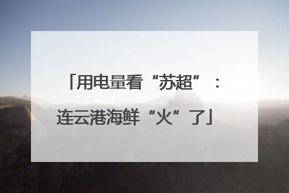 用电量看“苏超”：连云港海鲜“火”了