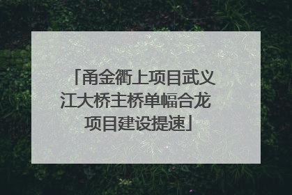 甬金衢上项目武义江大桥主桥单幅合龙 项目建设提速