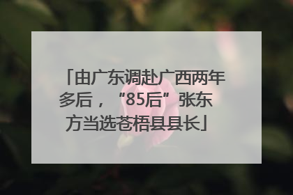 由广东调赴广西两年多后，“85后”张东方当选苍梧县县长