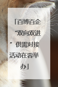 百博百企“双向双进”供需对接活动在蓉举办