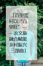 百里荒何以“百里旺”——农文旅融合赋能乡村振兴三部曲