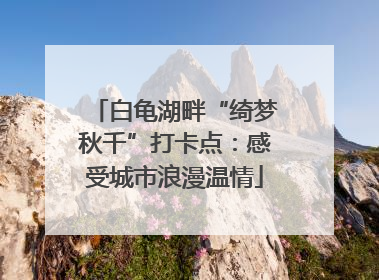 白龟湖畔“绮梦秋千”打卡点：感受城市浪漫温情