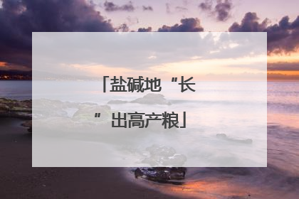 盐碱地“长”出高产粮