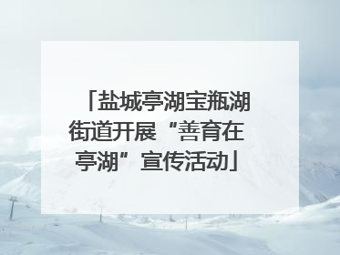 盐城亭湖宝瓶湖街道开展“善育在亭湖”宣传活动