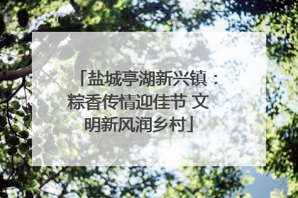 盐城亭湖新兴镇：粽香传情迎佳节 文明新风润乡村