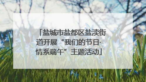 盐城市盐都区盐渎街道开展“我们的节日·情系端午”主题活动