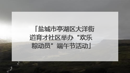 盐城市亭湖区大洋街道育才社区举办“欢乐粽动员”端午节活动
