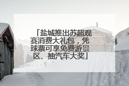 盐城推出苏超观赛消费大礼包，凭球票可享免费游景区、抽汽车大奖