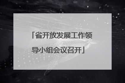 省开放发展工作领导小组会议召开