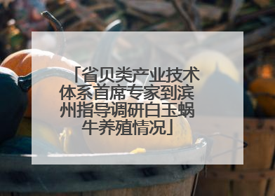 省贝类产业技术体系首席专家到滨州指导调研白玉蜗牛养殖情况