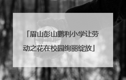 眉山彭山鹏利小学让劳动之花在校园绚丽绽放