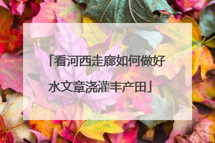看河西走廊如何做好水文章浇灌丰产田