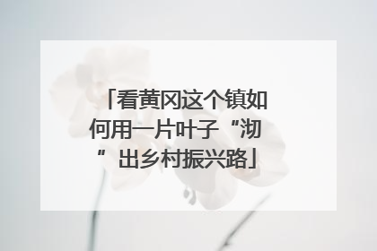 看黄冈这个镇如何用一片叶子“沏”出乡村振兴路