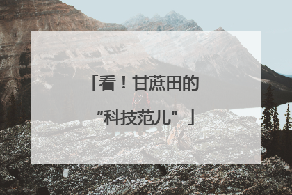 看！甘蔗田的“科技范儿”