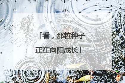 看，那粒种子正在向阳成长