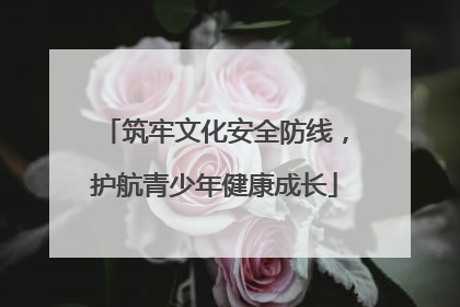 筑牢文化安全防线，护航青少年健康成长