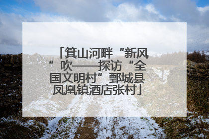 箕山河畔“新风”吹——探访“全国文明村”鄄城县凤凰镇酒店张村