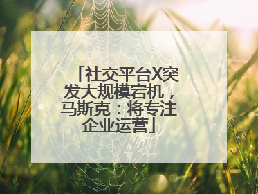 社交平台X突发大规模宕机，马斯克：将专注企业运营