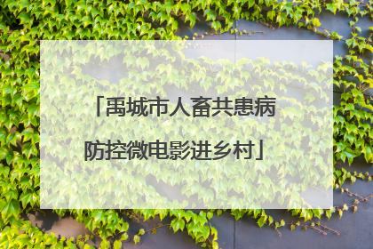 禹城市人畜共患病防控微电影进乡村