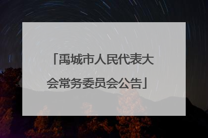 禹城市人民代表大会常务委员会公告