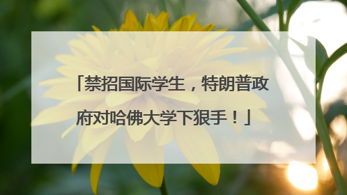 禁招国际学生，特朗普政府对哈佛大学下狠手！
