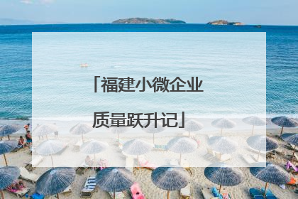 福建小微企业质量跃升记
