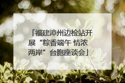 福建漳州边检站开展“粽香端午 情浓两岸”台胞座谈会