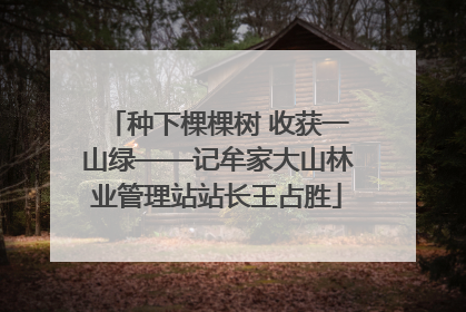 种下棵棵树 收获一山绿——记牟家大山林业管理站站长王占胜