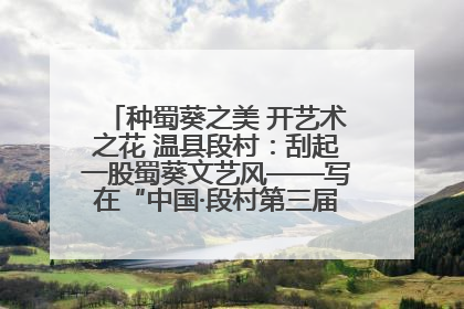 种蜀葵之美 开艺术之花 温县段村：刮起一股蜀葵文艺风——写在“中国·段村第三届蜀葵画展”开展之际