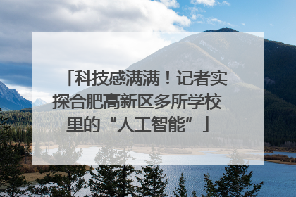科技感满满！记者实探合肥高新区多所学校里的“人工智能”
