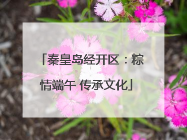 秦皇岛经开区：粽情端午 传承文化