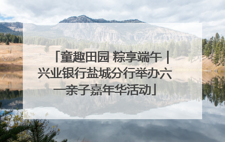 童趣田园 粽享端午｜兴业银行盐城分行举办六一亲子嘉年华活动