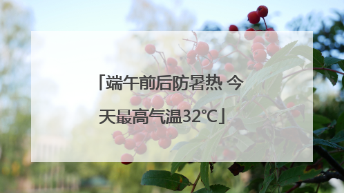 端午前后防暑热 今天最高气温32℃