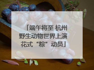 端午将至 杭州野生动物世界上演花式“粽”动员