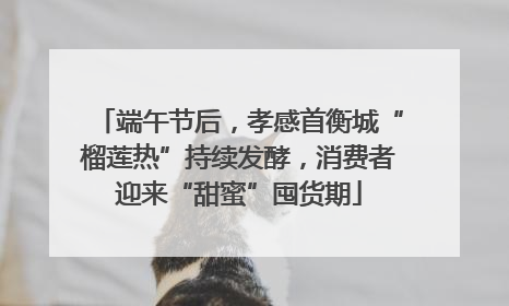 端午节后，孝感首衡城“榴莲热”持续发酵，消费者迎来“甜蜜”囤货期