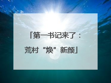 第一书记来了：荒村“焕”新颜